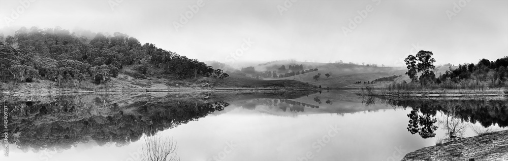 Fototapeta premium BM Lyell Still Wide BW