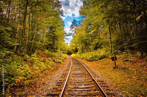 Autumn along the train tracks