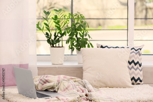 Beautiful home plants on wi...