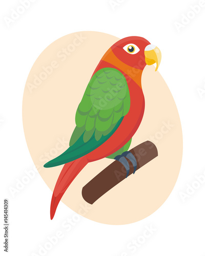 Cartoon tropical parrot wild animal bird vector illustration wildlife feather...
