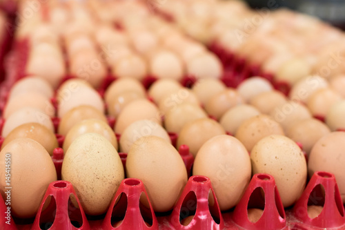 A lot of egg in panel display for sale in local fresh food market, tropical Bali island, Indonesia. photo