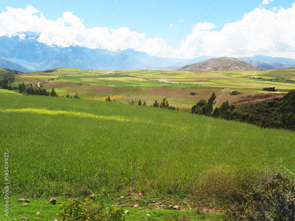 Agricultural field in Sacred Valley, Cusco