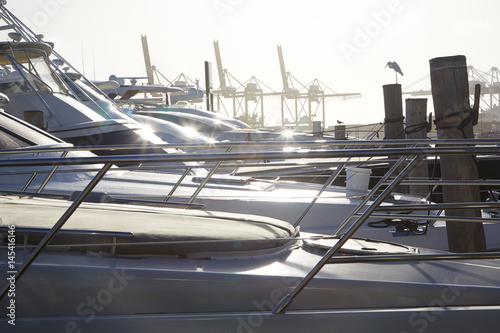 Large luxury ships docked in South Beach, Miami photo