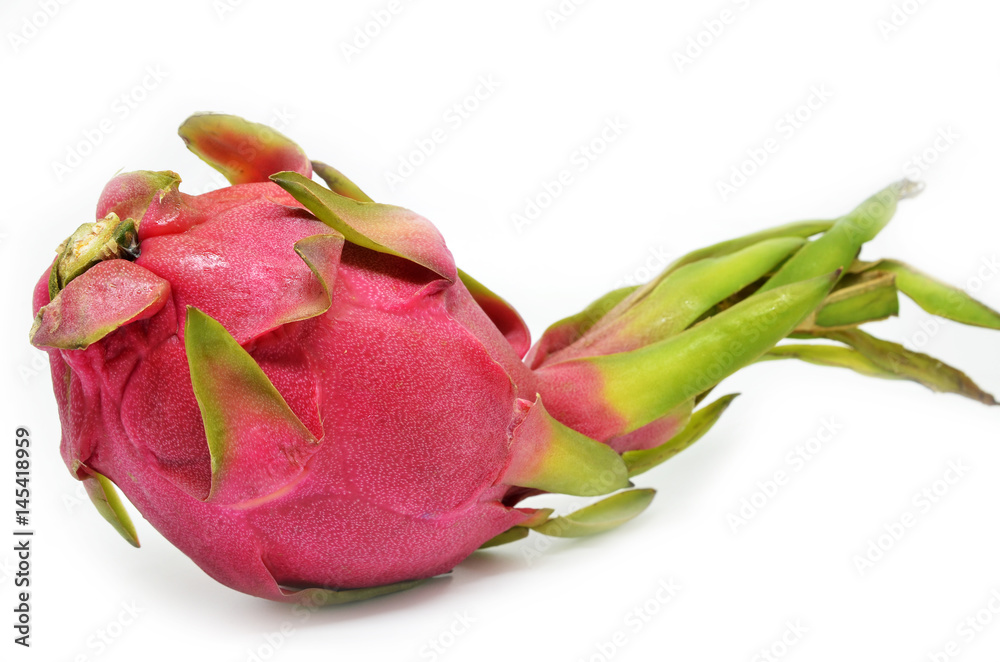 Vivid and Vibrant Dragon Fruit Vivid and Vibrant Dragon Fruit