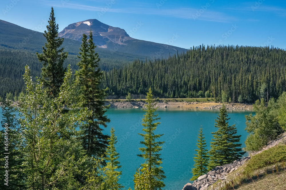 View of Medicine Lake through coniferous trees with a mountain peak in the distance in Jasper National Park, Alberta, Canada.