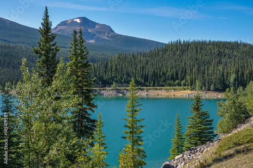 View of Medicine Lake through coniferous trees with a mountain peak in the distance in Jasper National Park, Alberta, Canada.
