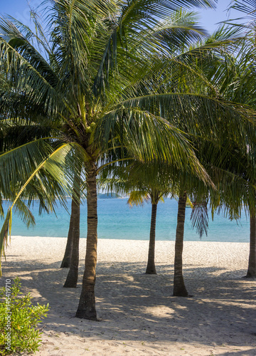 Plage paradisiaque