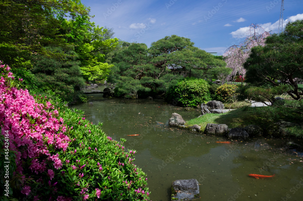 日本の庭園