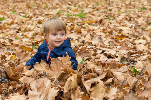 Happy little child, baby boy laughing and playing in autumn © nedomacki