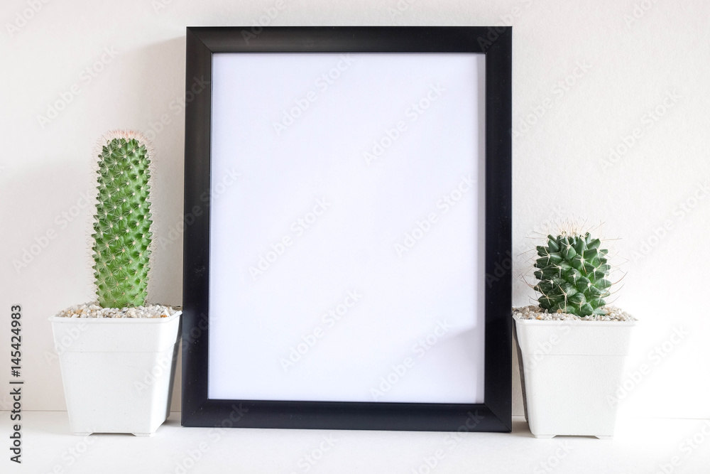succulents or cactus in concrete pots over white background on the shelf and mock up frame photo succulents or cactus in concrete pots over white background on the shelf and mock up frame photo