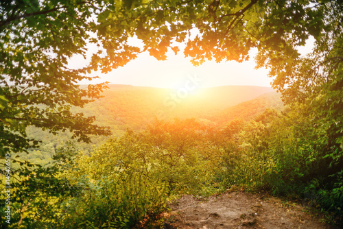 Mountain landscape, wonderful forest on Mount germinating