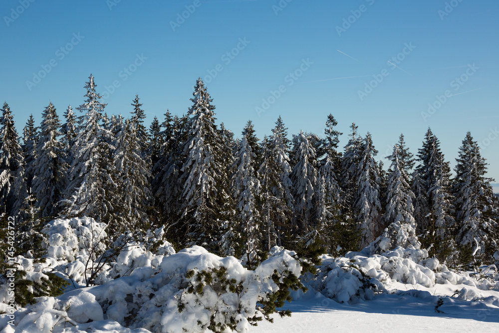 Winter im Hochschwarzwald Winter im Hochschwarzwald