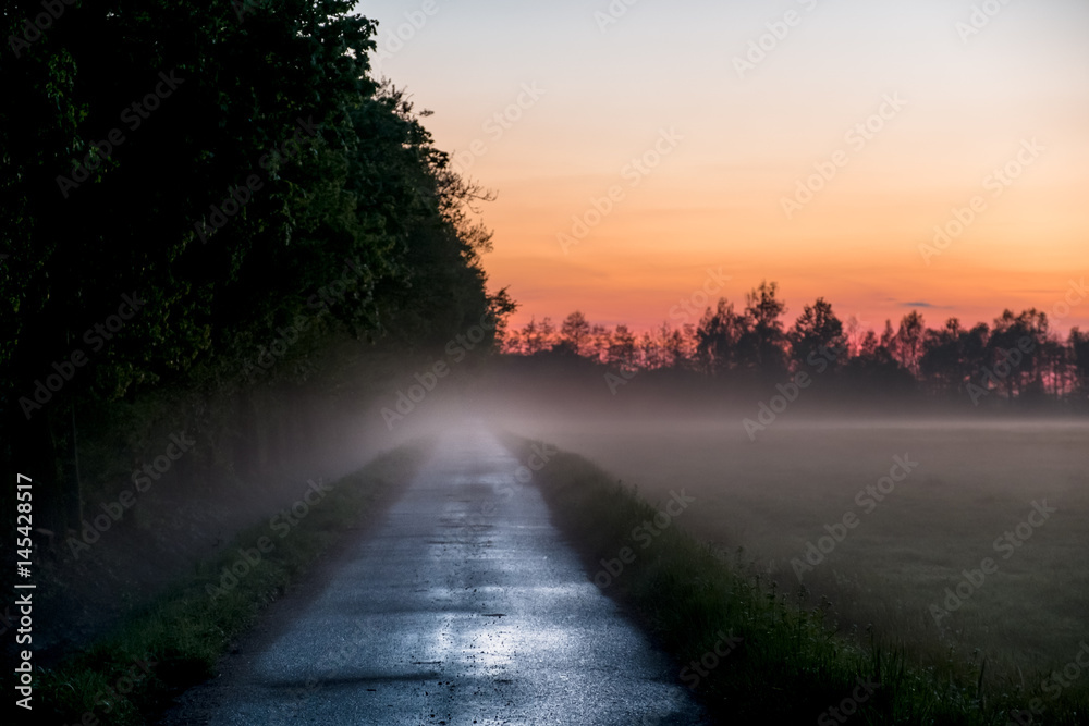 Foggy View of a street or path at sunset with beautiful color in the sky