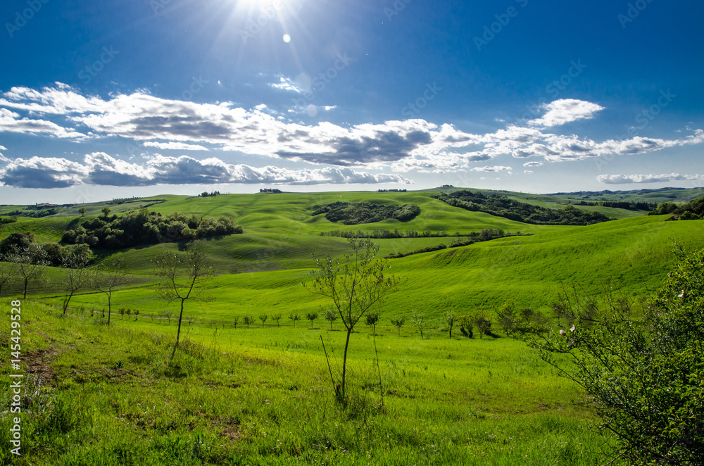 Fototapeta premium Tuscany