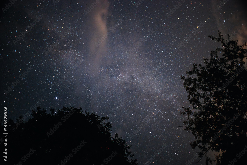 A clear night sky with a hill and trees in the foreground A clear night sky with a hill and trees in the foreground
