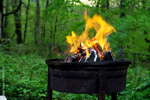 the fire on the barbecue in the woods