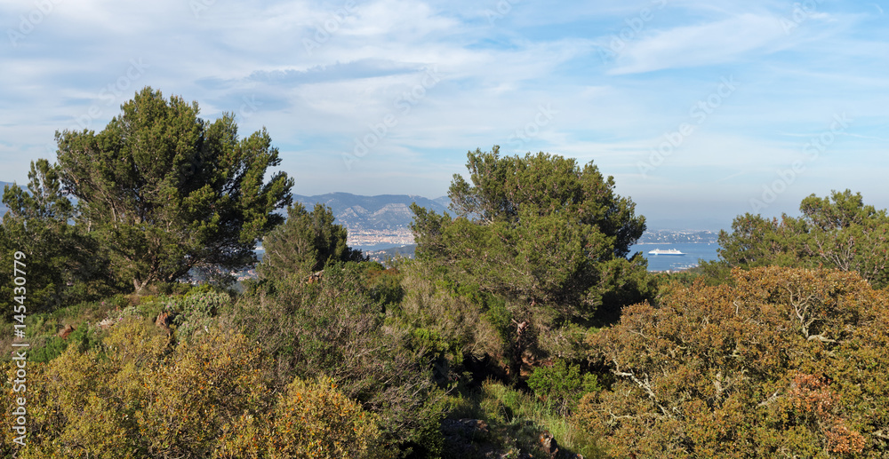 Forêt du Var et rade de Toulon