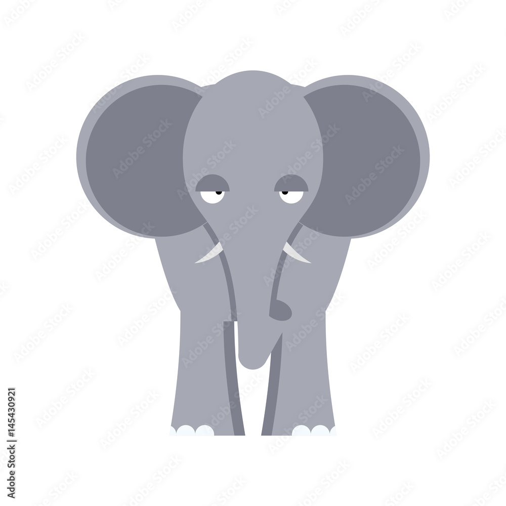 Elephant front view isolated. Big wild African beast on white background Elephant front view isolated. Big wild African beast on white background