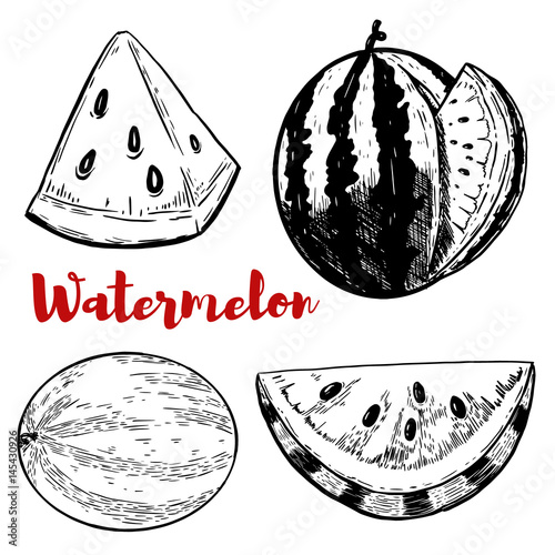 Set of hand drawn watermelon illustrations on white background. Design elements for poster, menu, flyer. Vector illustration