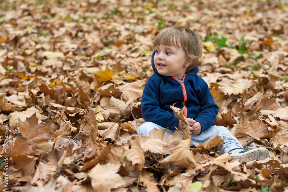 Happy little child, baby boy laughing and playing in autumn Happy little child, baby boy laughing and playing in autumn