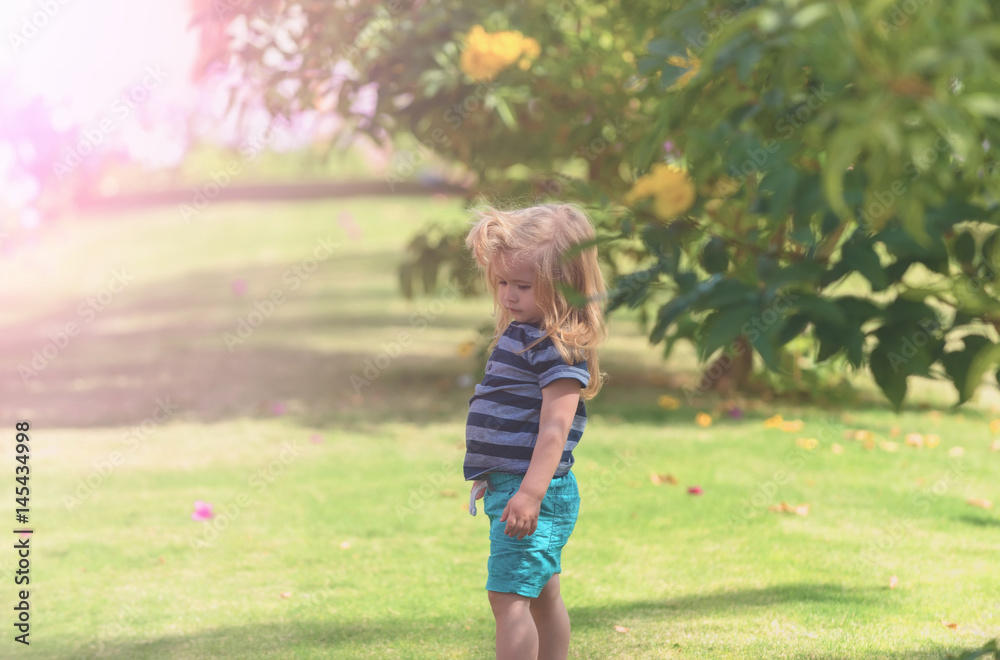 Cute baby boy at yellow blossoming flowers from bushes Cute baby boy at yellow blossoming flowers from bushes