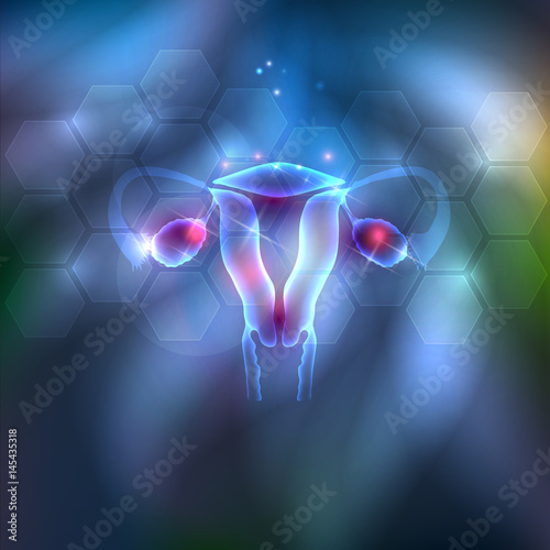 Female uterus abstract background