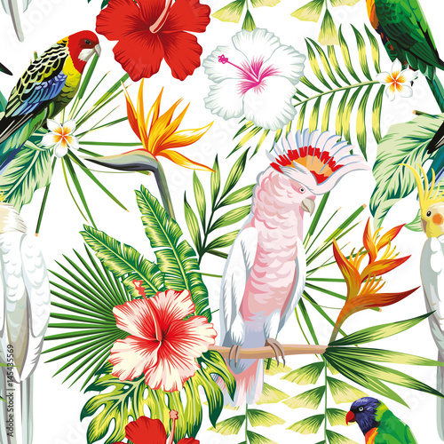Parrot tropical flowers and leaves seamless pattern white background