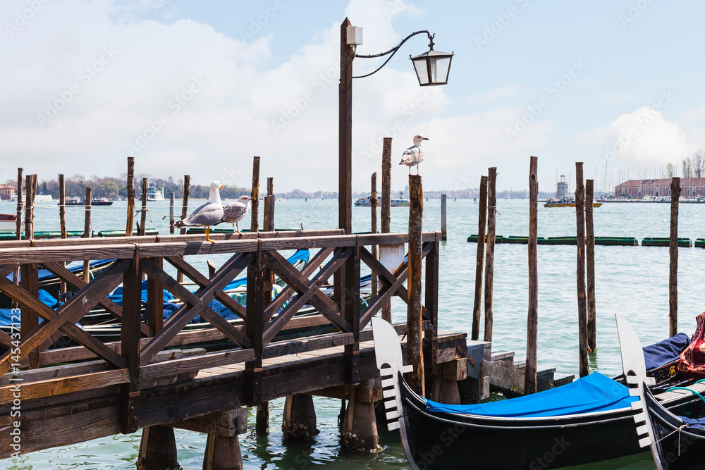 Gulls and gondolas in Venetian lagoon