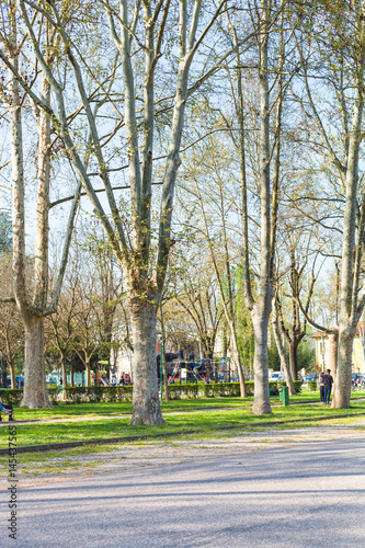 Fototapeta Naklejka Na Ścianę i Meble -  trees in urban public garden Parco del Te