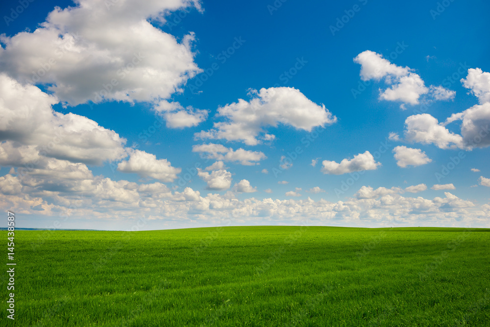 Green grass and blue sky with white clouds Green grass and blue sky with white clouds
