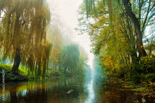Fog over river in forest in the autumn © cezarksv