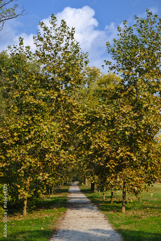 Naklejka premium Monza (Italy): the park at fall