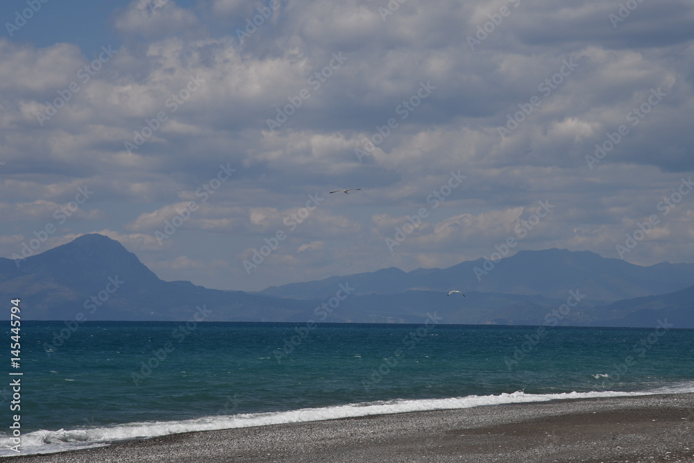 Mare con coppia di gabbiani