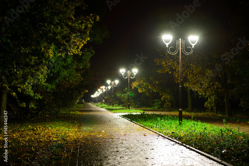Park night lanterns lamps: a view of a alley walkway, pathway in a park with trees and dark sky as a background at an summer evening