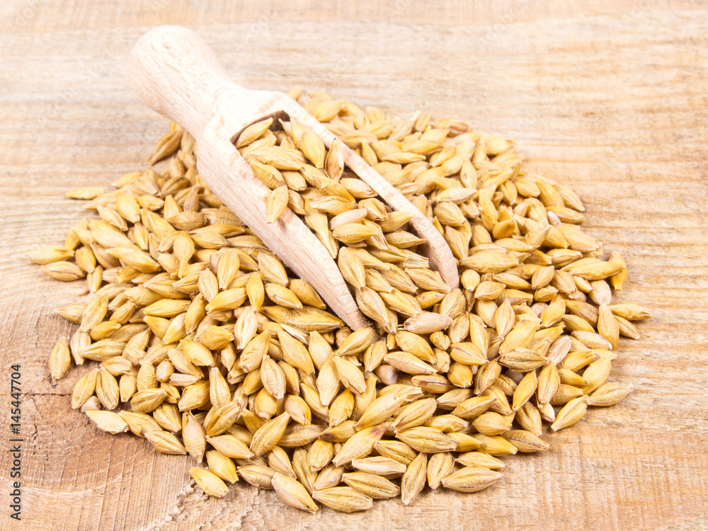 Barley grain or seeds CloseUp. Barley grain or seeds CloseUp.