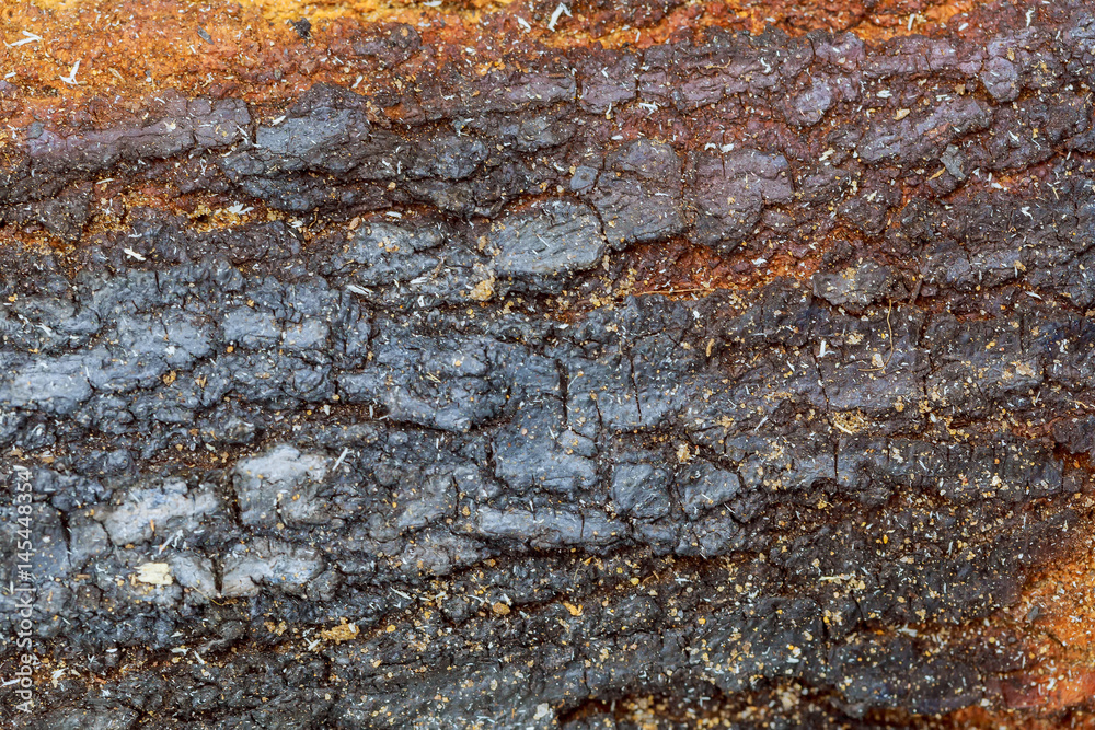 Macro, Close up of dark wooden bark tree texture for background. Macro, Close up of dark wooden bark tree texture for background.