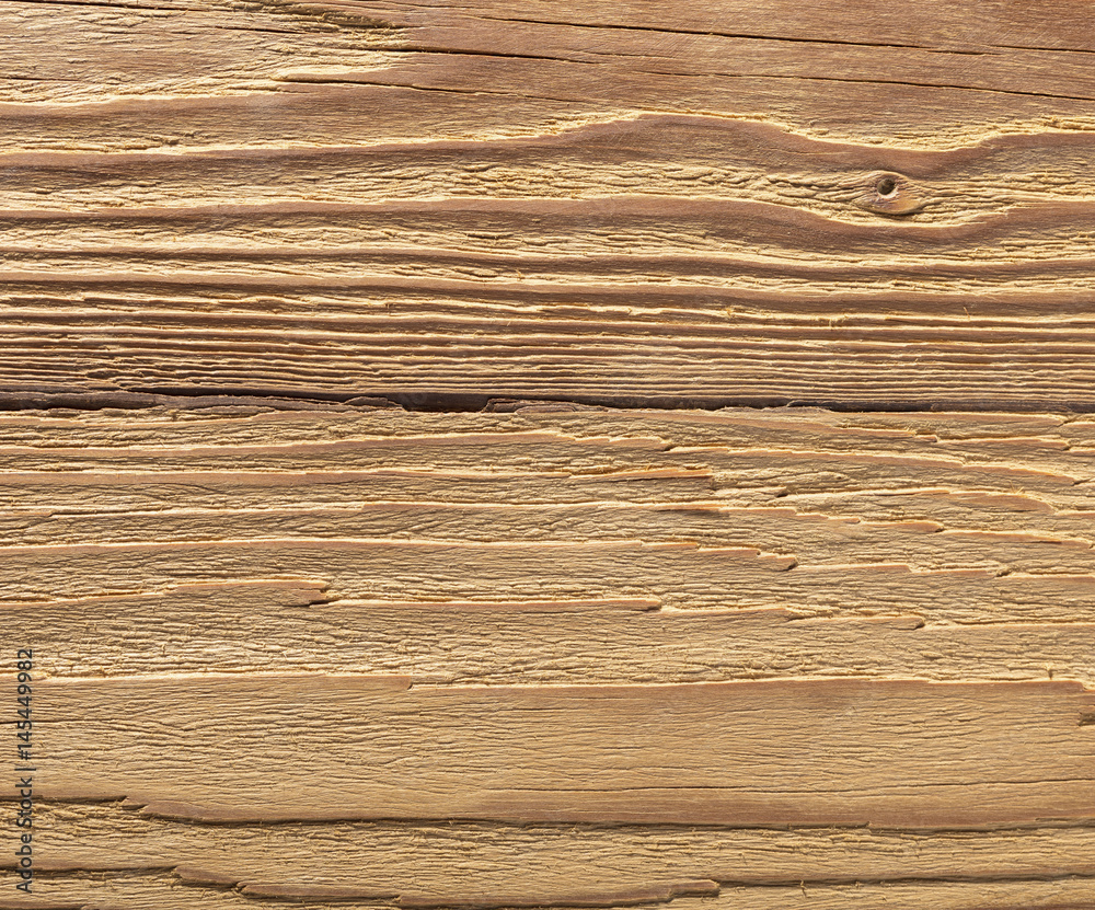 Naklejka premium natural wood texture closeup