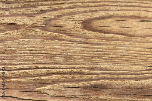 natural wood texture closeup