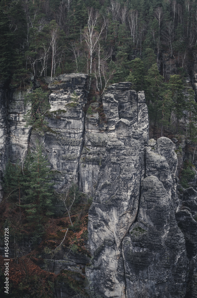 saxony mountains