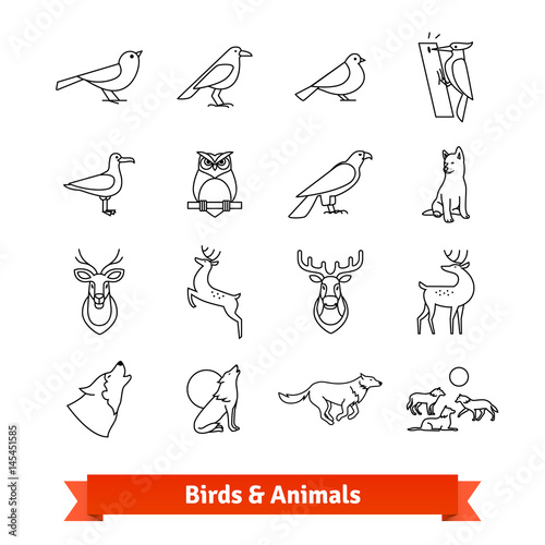 Wild animals and birds thin line art icons set