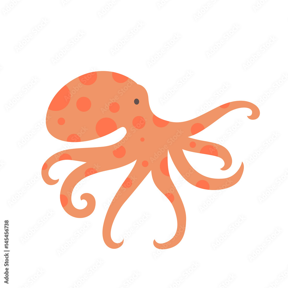 Fotografie Vector Illustration of an Octopus