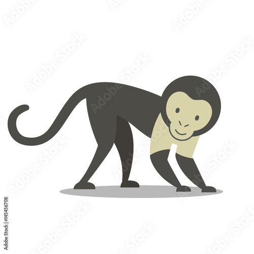 Vector Illustration of a Capuchin Monkey