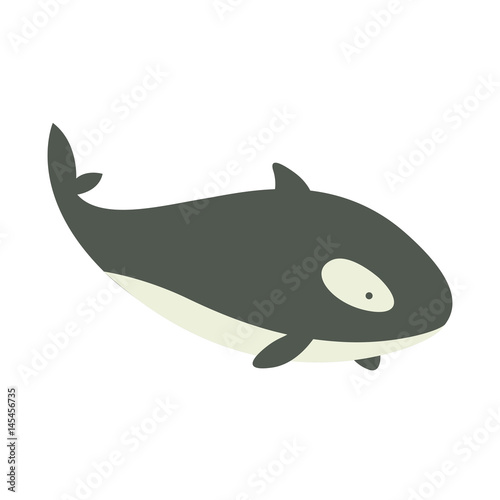 Vector Illustration of a Killer Whale