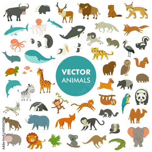Collection of Animals of the World. Vector Illustration of Simple Cartoon Animal Icons.