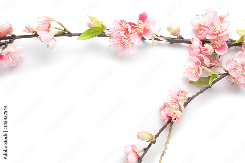 Fake sakura blossom on white