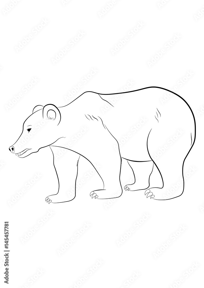 Fototapeta black vector illustration of wild brown bear on a white background for coloring and artistic purposes
