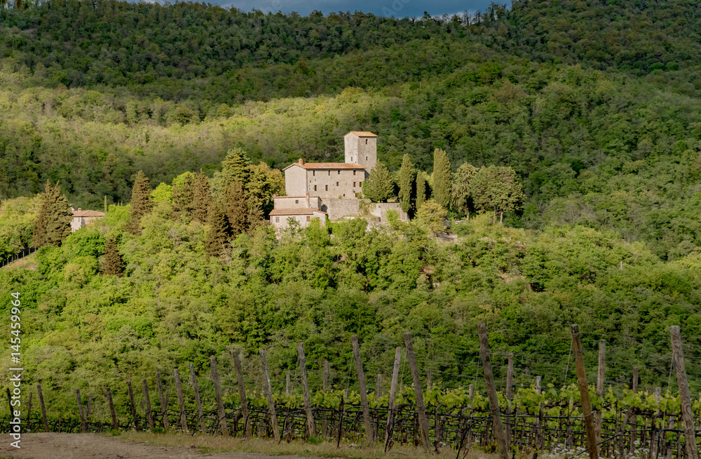 Φωτογραφία Panorama of green chianti hills in tuscany italy in spring, land of red wine and