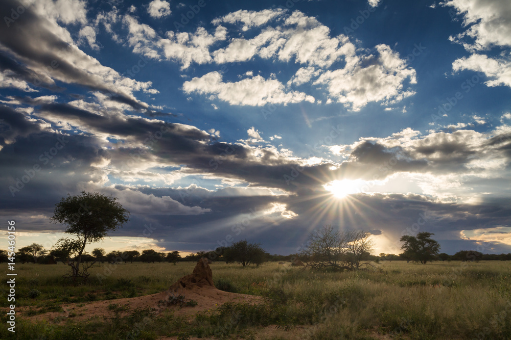 Fotografie Sunset over the namibian grassland
