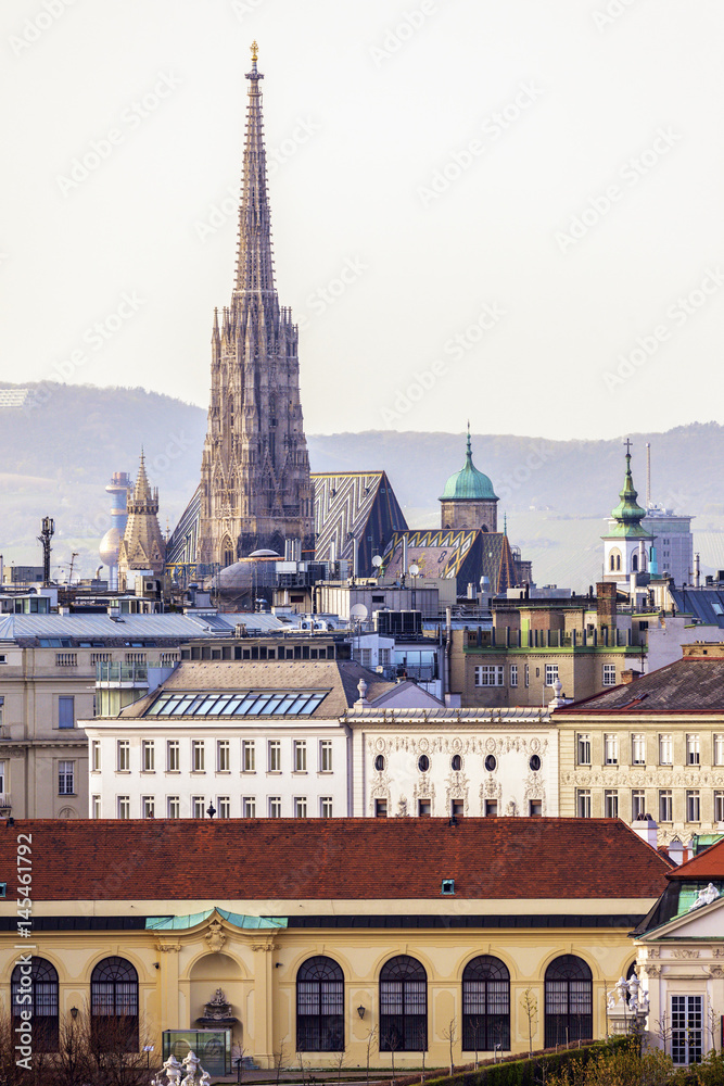 Vienna panorama with St. Stephen's Cathedral