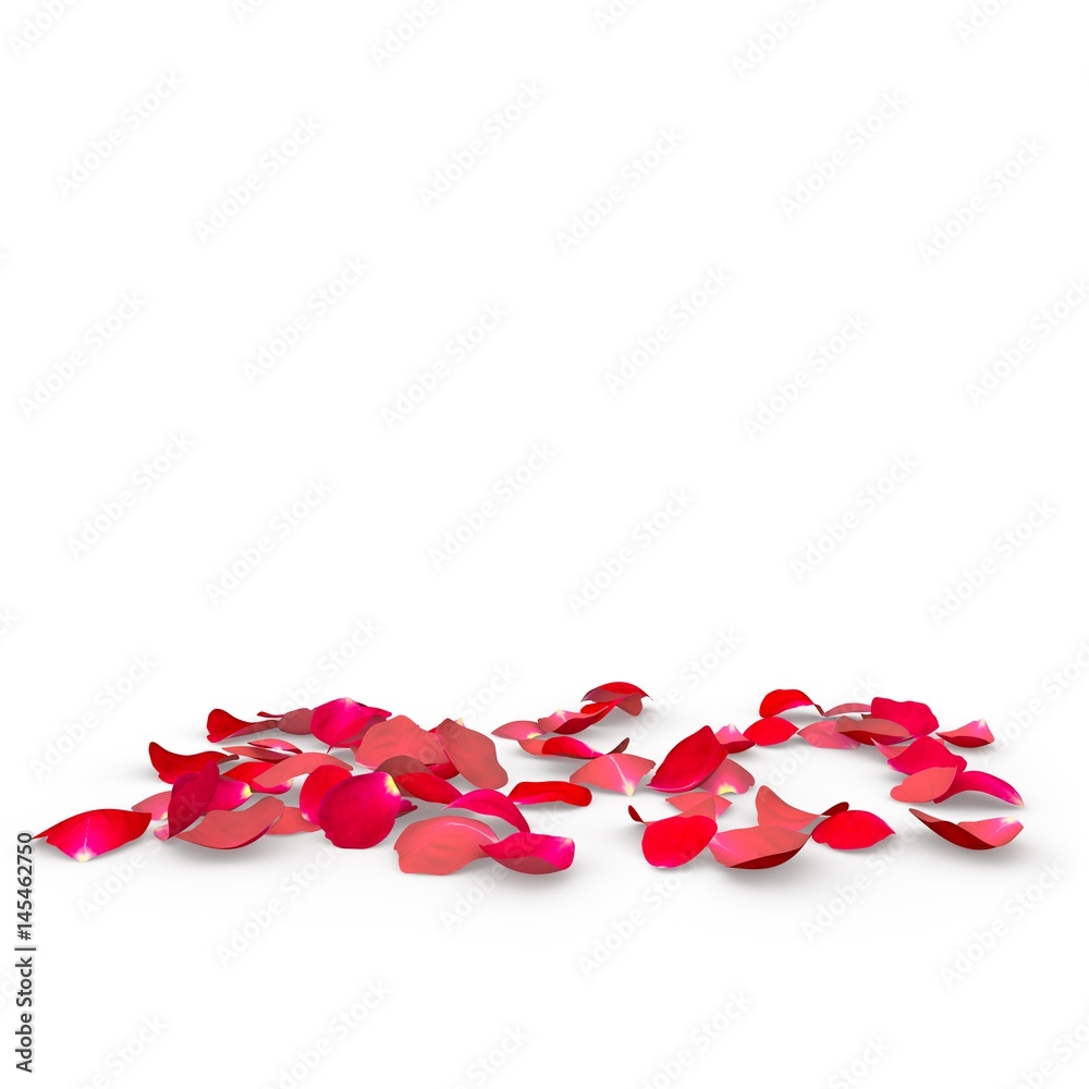 Rose petals fall to the floor Rose petals fall to the floor